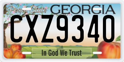 GA license plate CXZ9340
