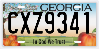 GA license plate CXZ9341