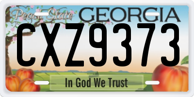 GA license plate CXZ9373