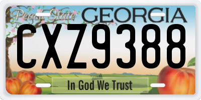 GA license plate CXZ9388