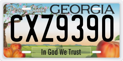 GA license plate CXZ9390