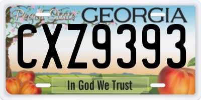 GA license plate CXZ9393