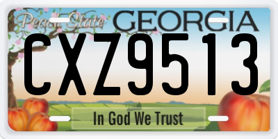 GA license plate CXZ9513