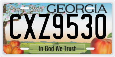 GA license plate CXZ9530