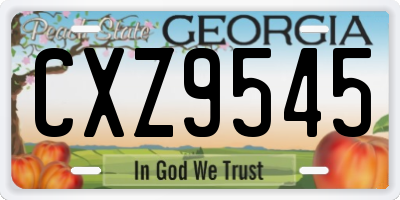 GA license plate CXZ9545