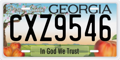 GA license plate CXZ9546