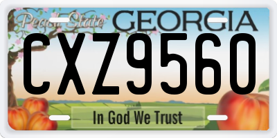 GA license plate CXZ9560