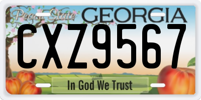 GA license plate CXZ9567