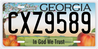 GA license plate CXZ9589