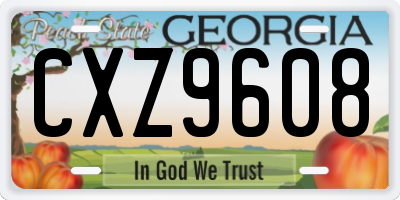 GA license plate CXZ9608