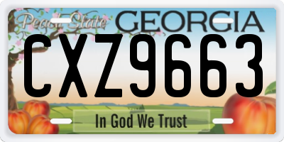 GA license plate CXZ9663