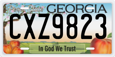 GA license plate CXZ9823