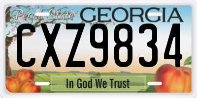 GA license plate CXZ9834