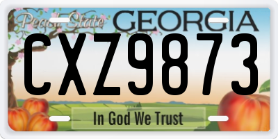GA license plate CXZ9873