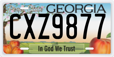 GA license plate CXZ9877