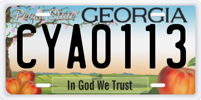 GA license plate CYA0113