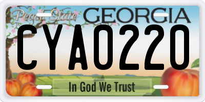 GA license plate CYA0220