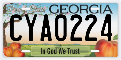 GA license plate CYA0224