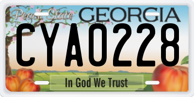 GA license plate CYA0228