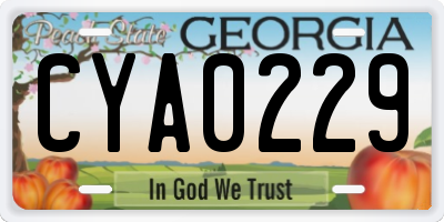 GA license plate CYA0229