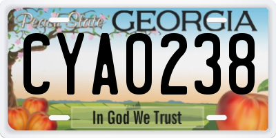 GA license plate CYA0238