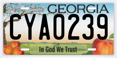 GA license plate CYA0239