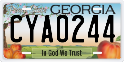 GA license plate CYA0244