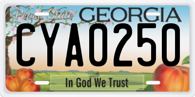 GA license plate CYA0250
