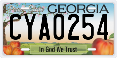 GA license plate CYA0254