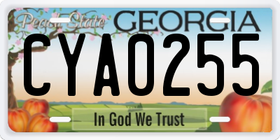 GA license plate CYA0255