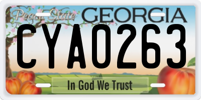 GA license plate CYA0263