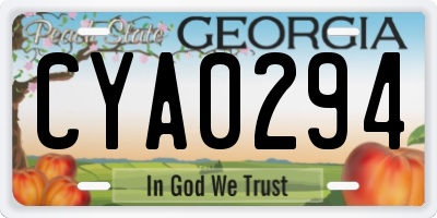 GA license plate CYA0294