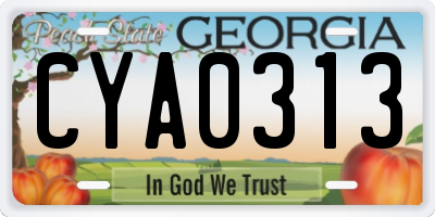 GA license plate CYA0313