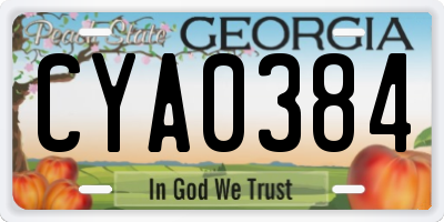 GA license plate CYA0384