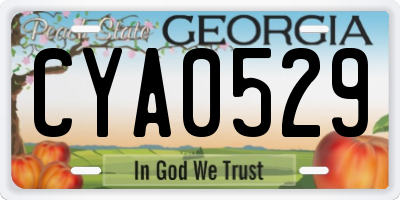 GA license plate CYA0529