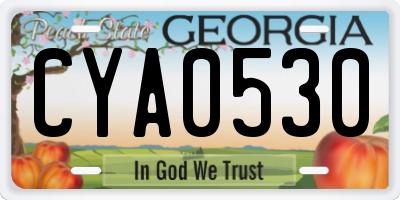 GA license plate CYA0530
