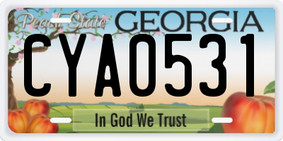 GA license plate CYA0531
