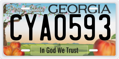 GA license plate CYA0593