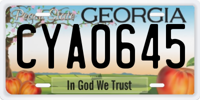 GA license plate CYA0645