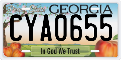 GA license plate CYA0655