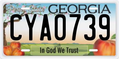 GA license plate CYA0739