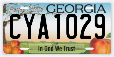 GA license plate CYA1029