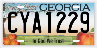 GA license plate CYA1229