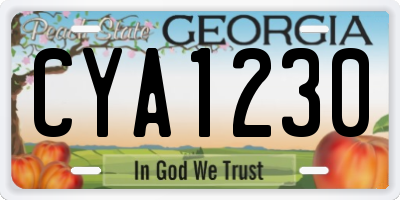 GA license plate CYA1230