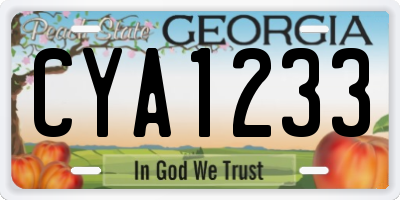 GA license plate CYA1233