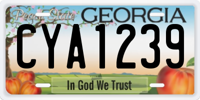 GA license plate CYA1239