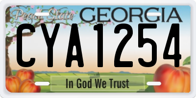 GA license plate CYA1254