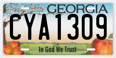 GA license plate CYA1309