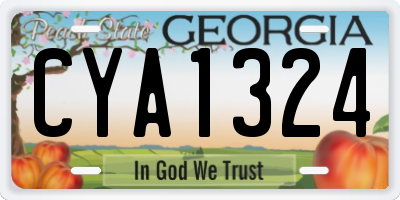 GA license plate CYA1324