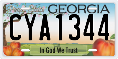 GA license plate CYA1344